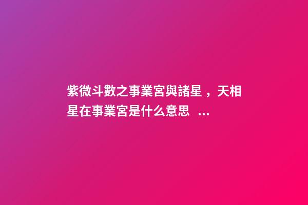 紫微斗數之事業宮與諸星，天相星在事業宮是什么意思？